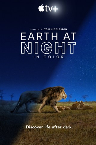 Sắc Màu Trái Đất Về Đêm (Phần 1)